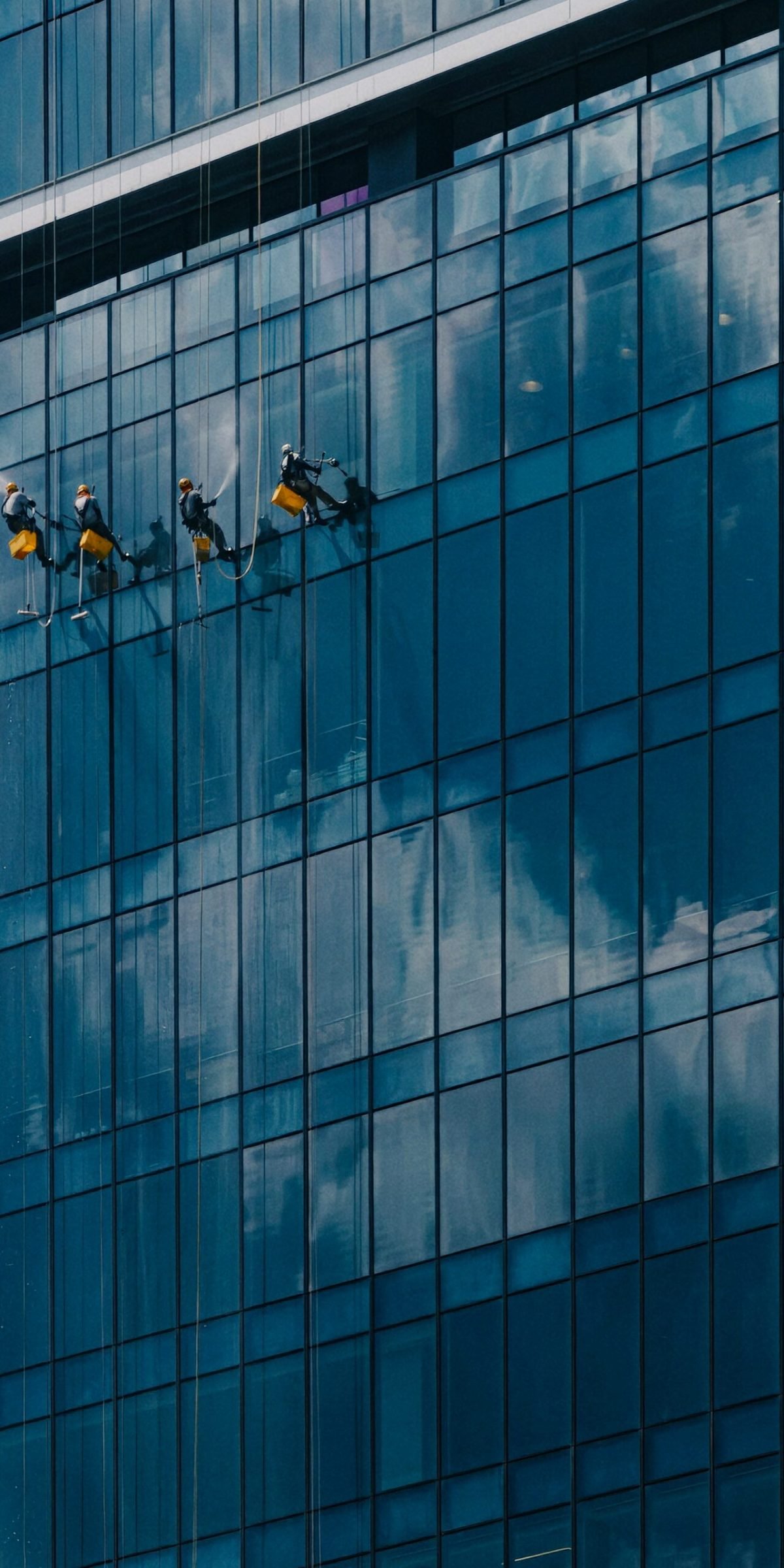 alim-SBdgqsJfS7I-unsplash(1)