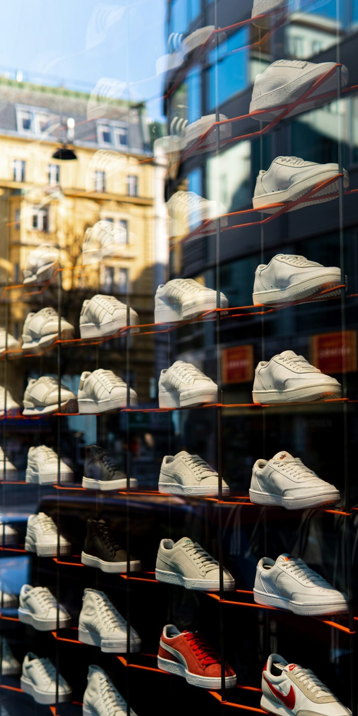 anton-3MSFrGsL6dk-unsplash(1)