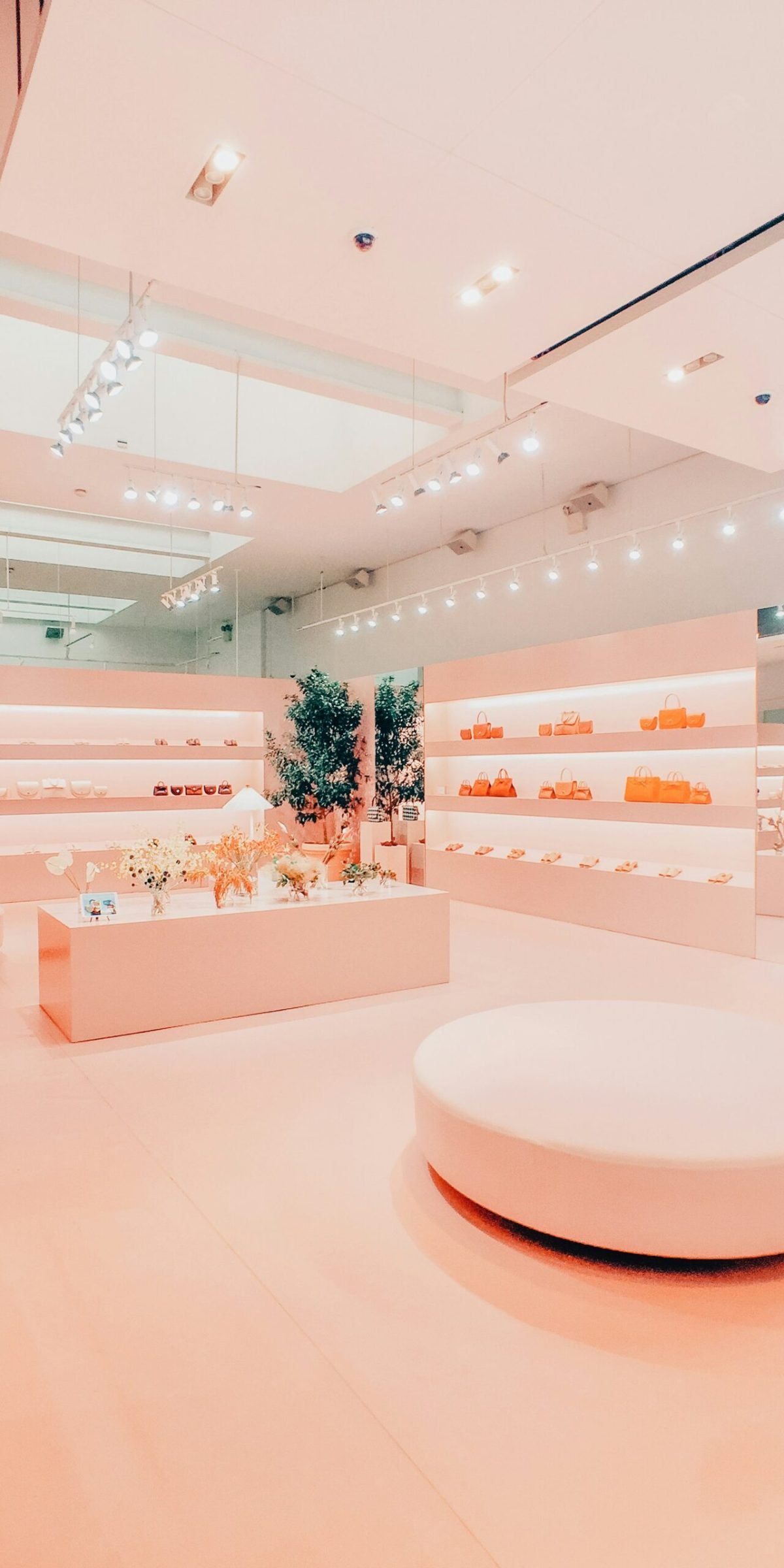 jacqueline-brandwayn-ooGiBq8Fchg-unsplash(1)