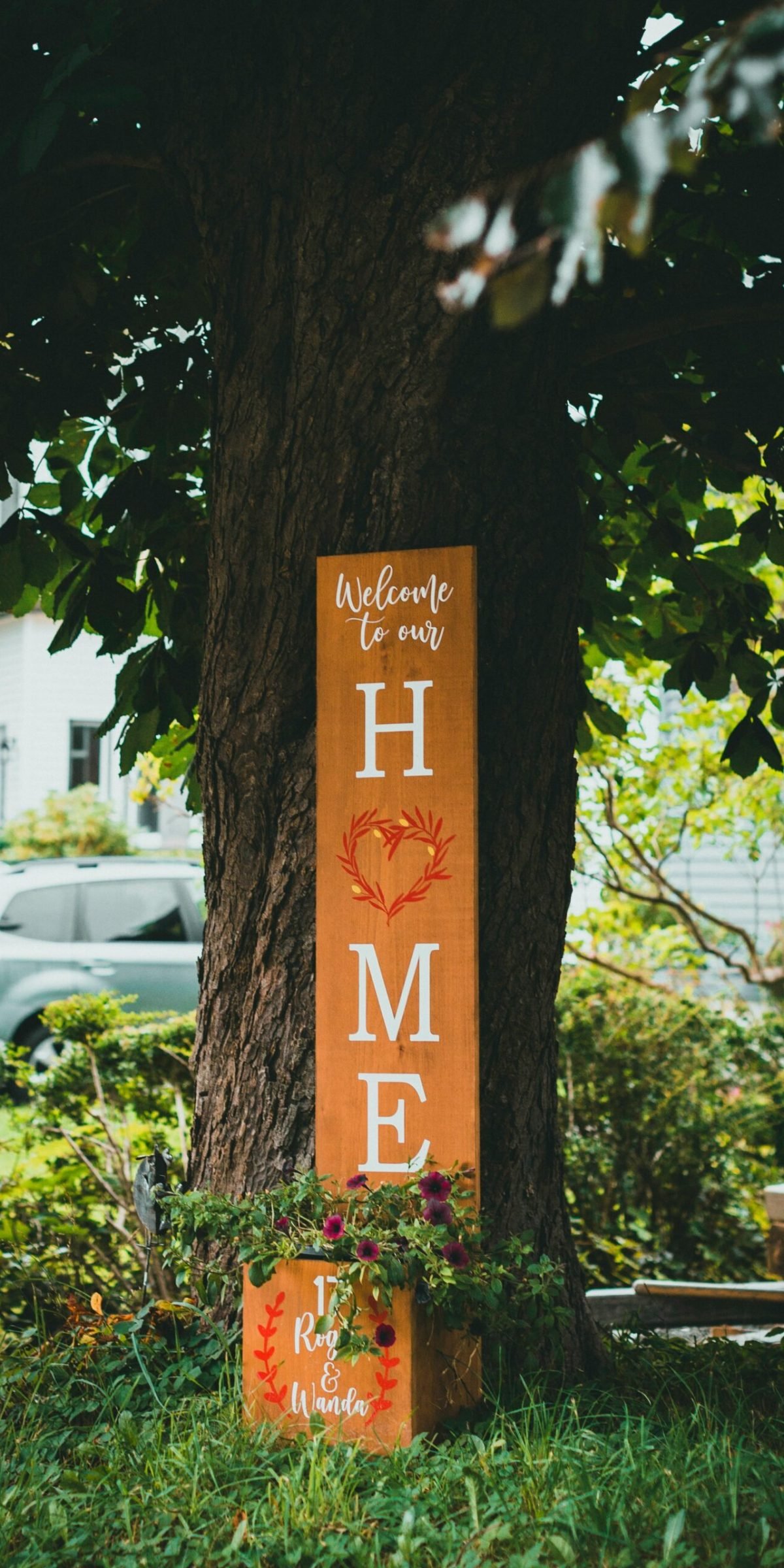 jonathan-cooper-5EekQFRyIvQ-unsplash