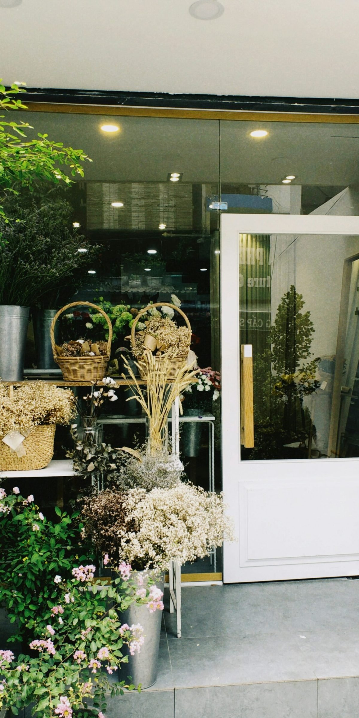 khiet-tam-nG-dpwLNKv4-unsplash(1)