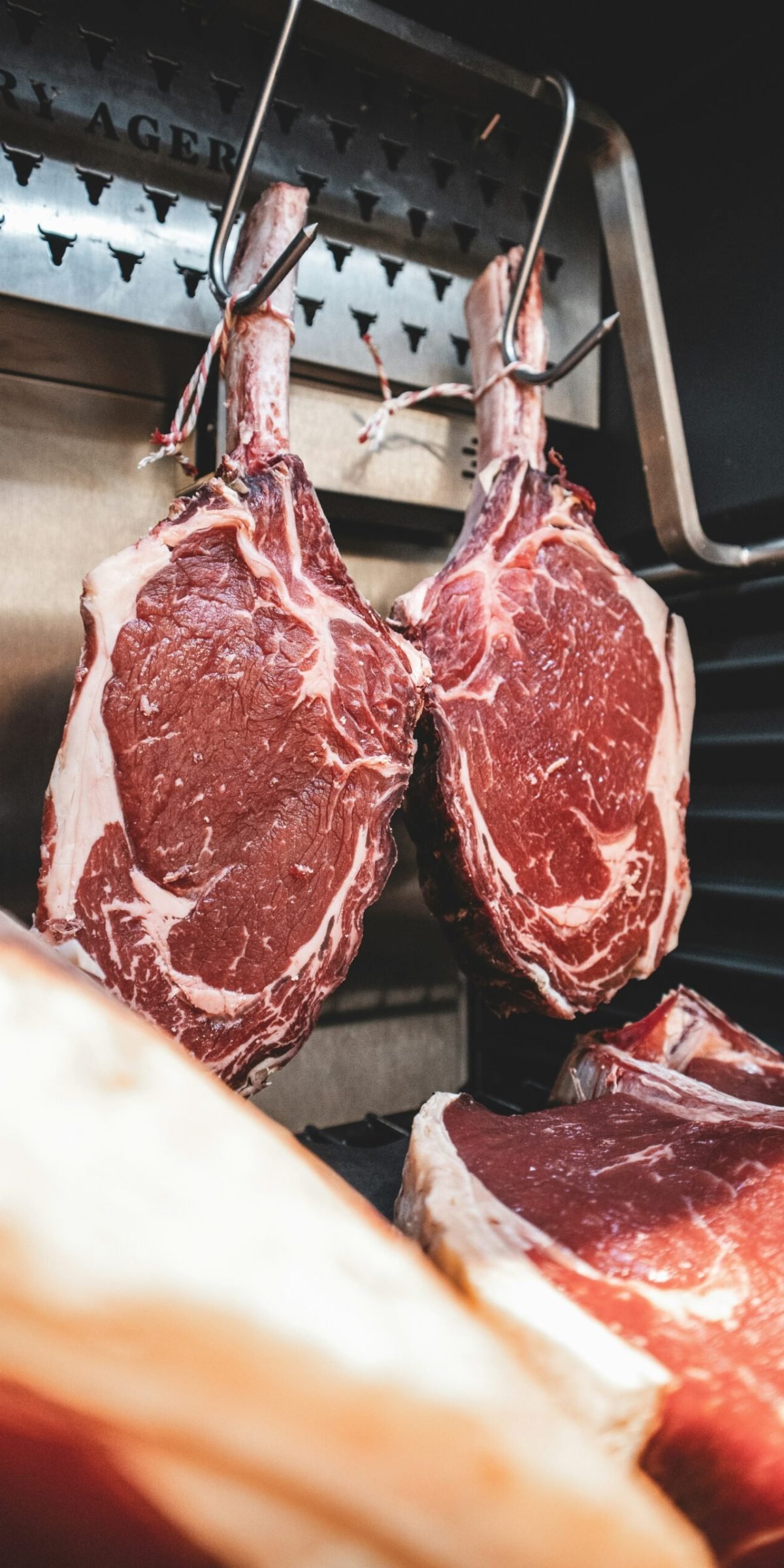 kyle-mackie-MEnlQv-EQvY-unsplash