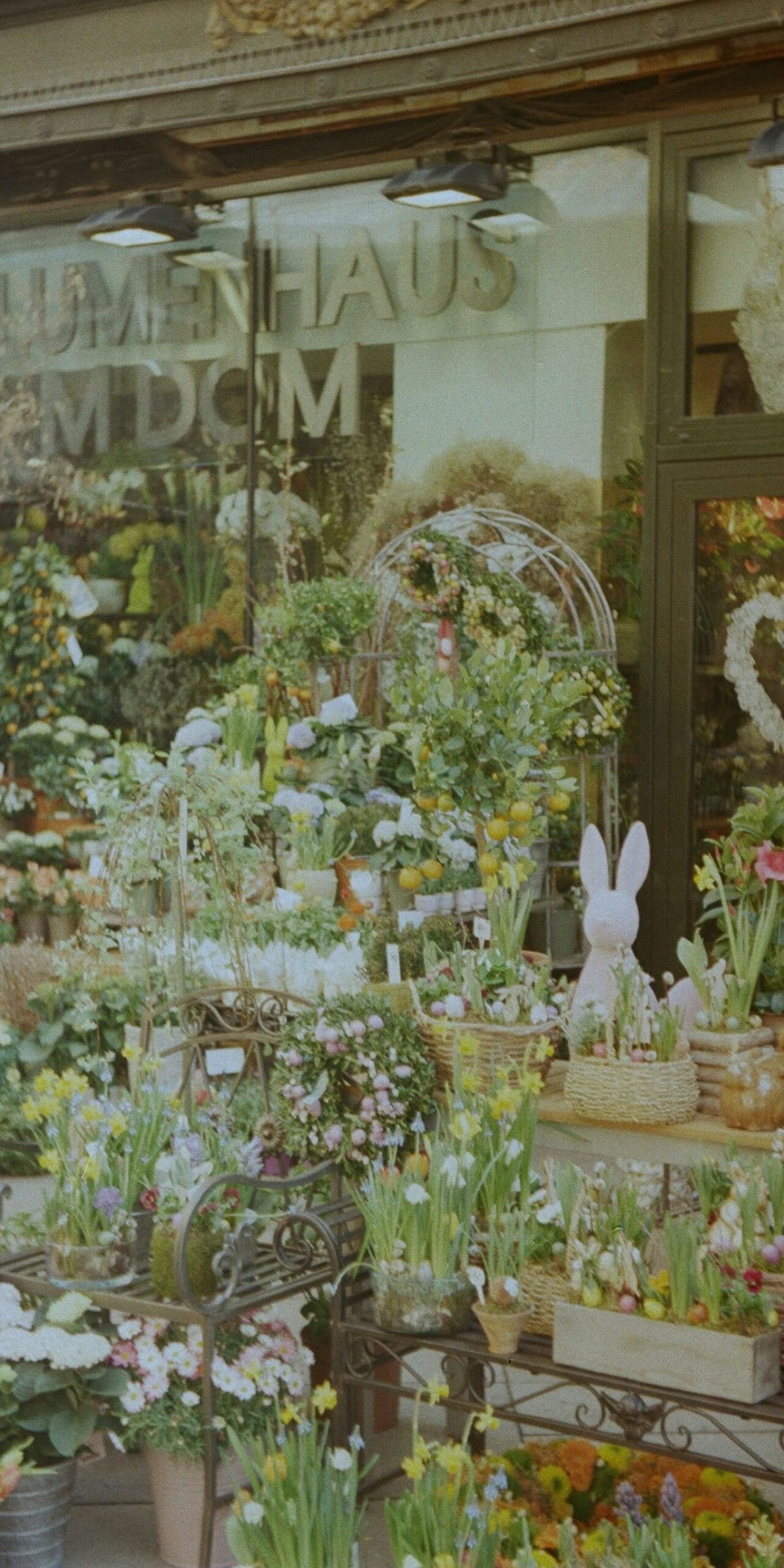 melloo-D91rmpdQxTs-unsplash