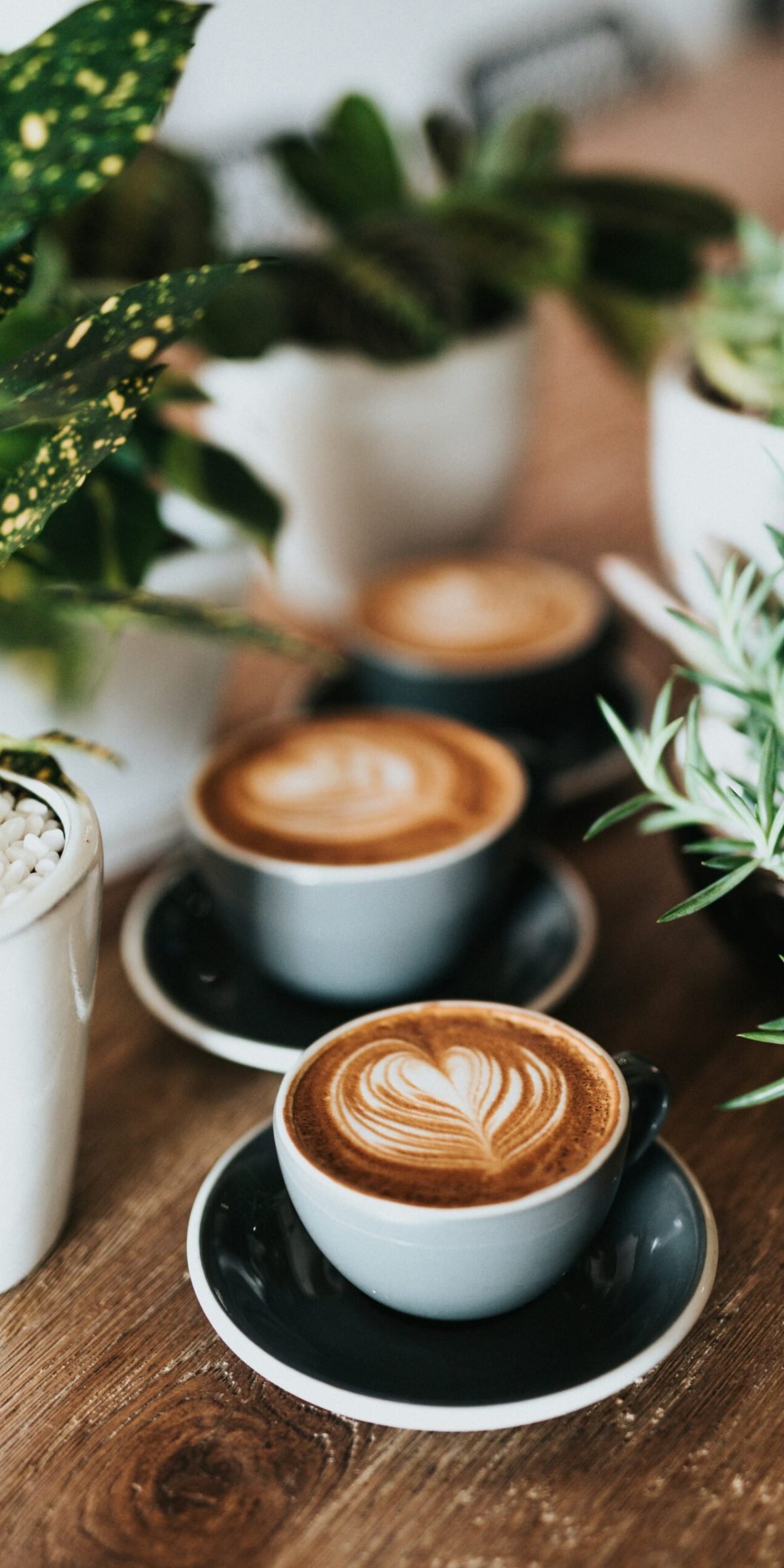 nathan-dumlao-zUNs99PGDg0-unsplash(1)