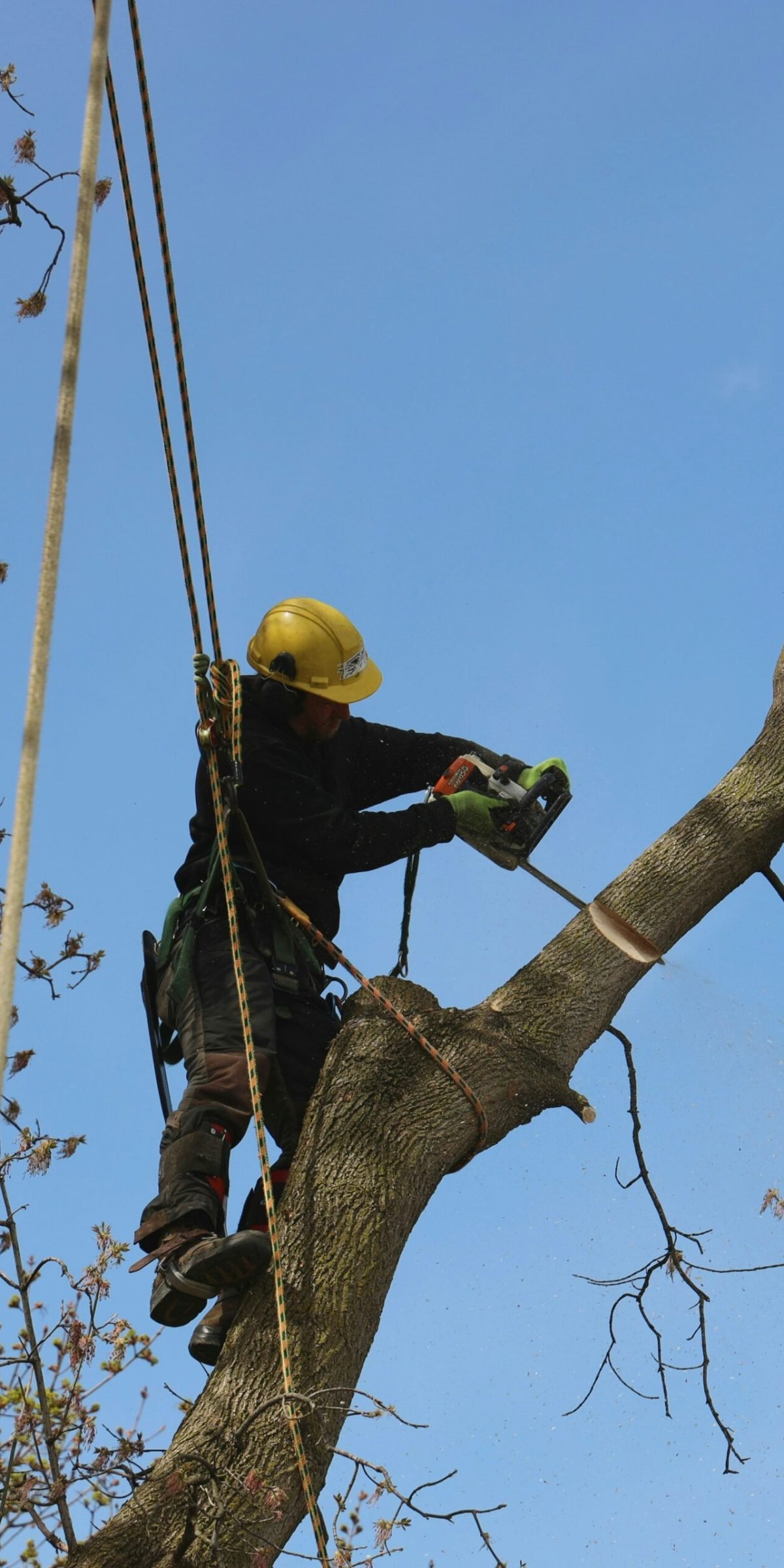 richard-burlton-eaf5cOAt66g-unsplash