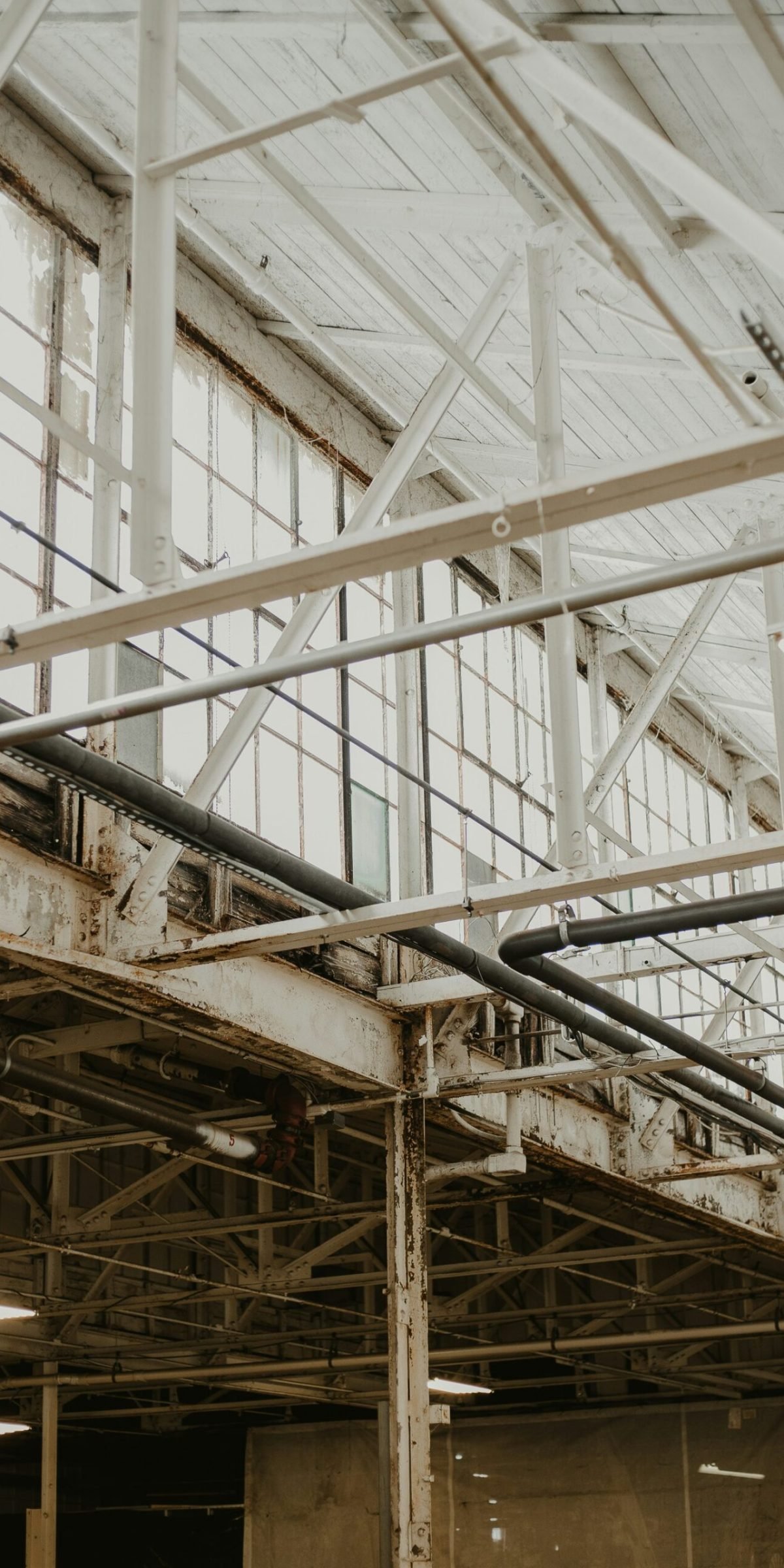 Worker Comp Tree Service California