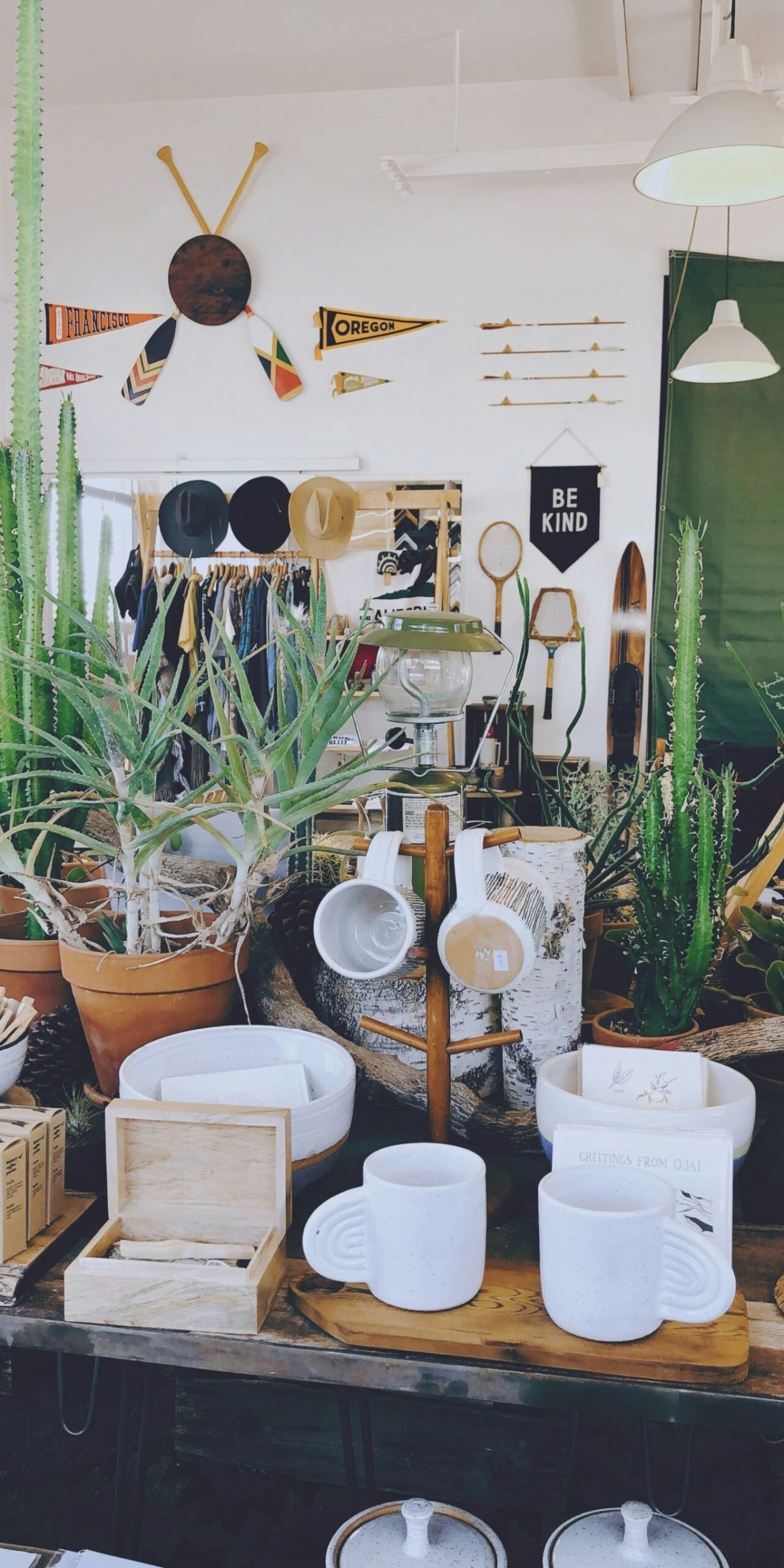 tania-miron-6kyv4wazo80-unsplash