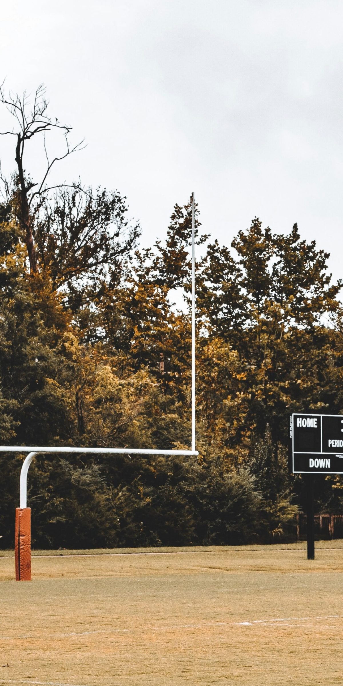 Worker Comp Solar Panel California