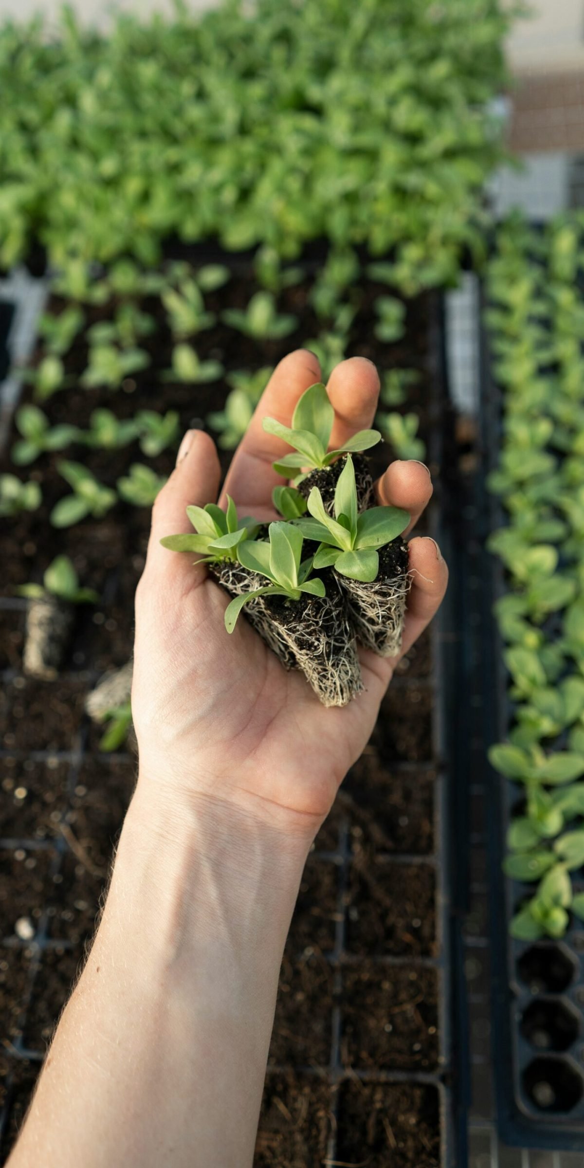 zoe-richardson-tbiV-yc903g-unsplash